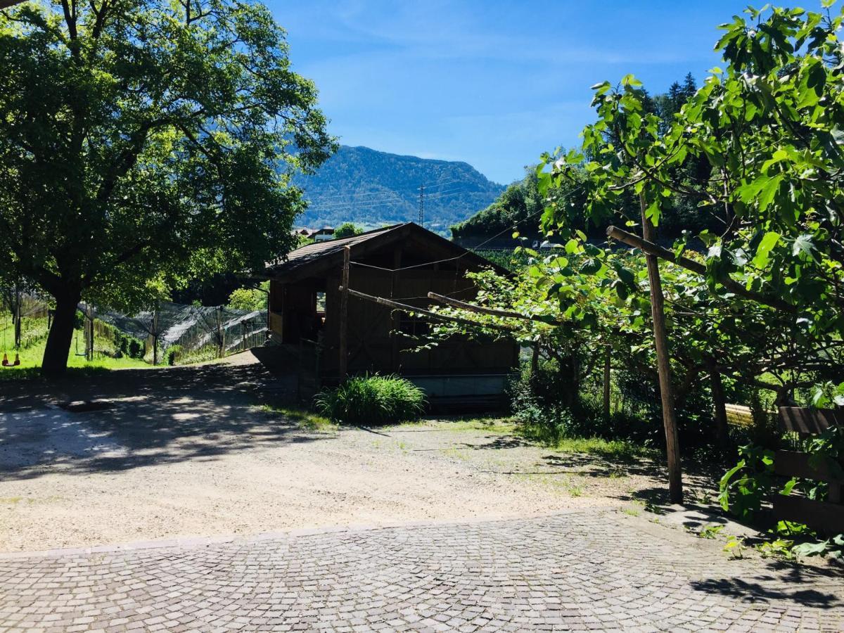 Tannerhof Bed & Breakfast Caines Buitenkant foto