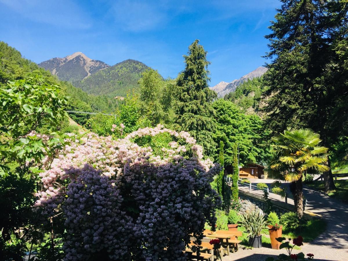 Tannerhof Bed & Breakfast Caines Buitenkant foto