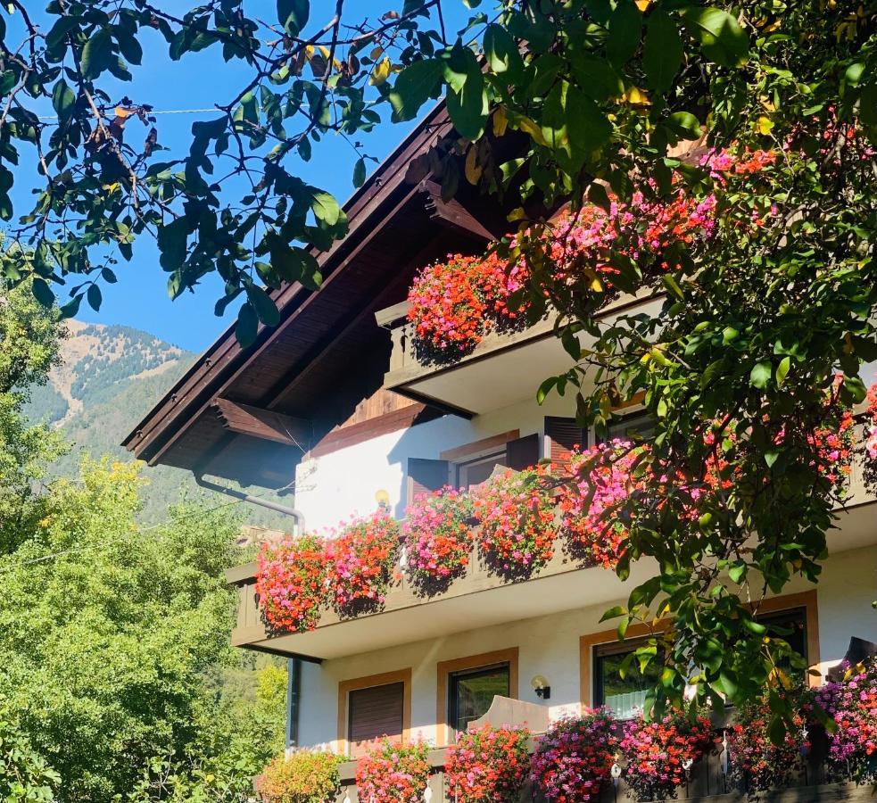 Tannerhof Bed & Breakfast Caines Buitenkant foto