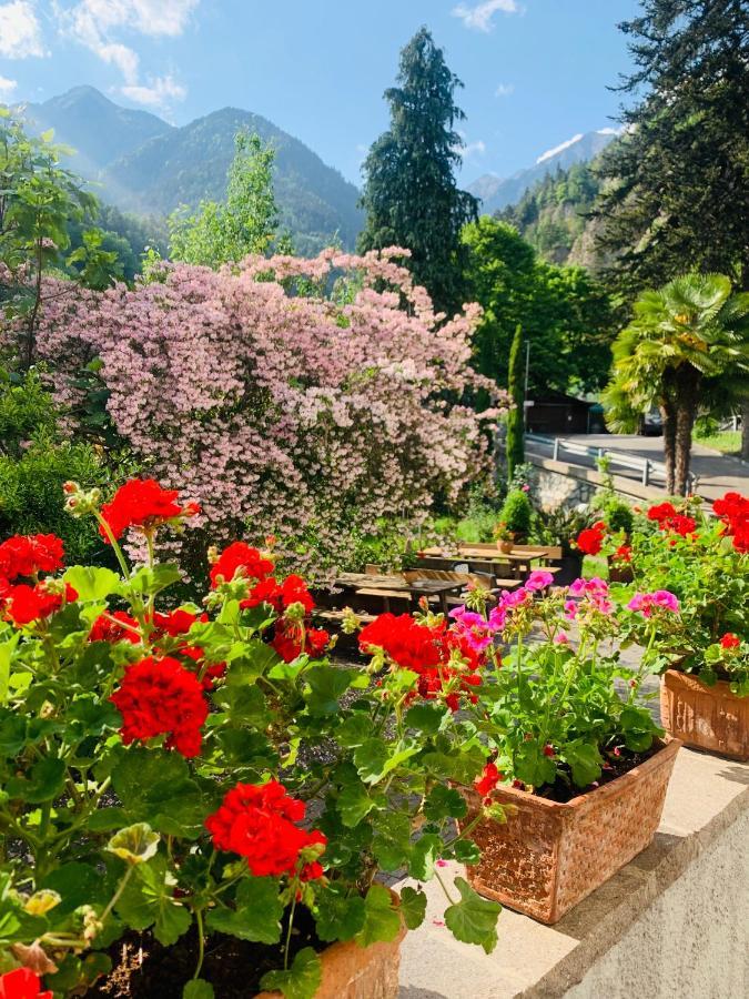 Tannerhof Bed & Breakfast Caines Buitenkant foto