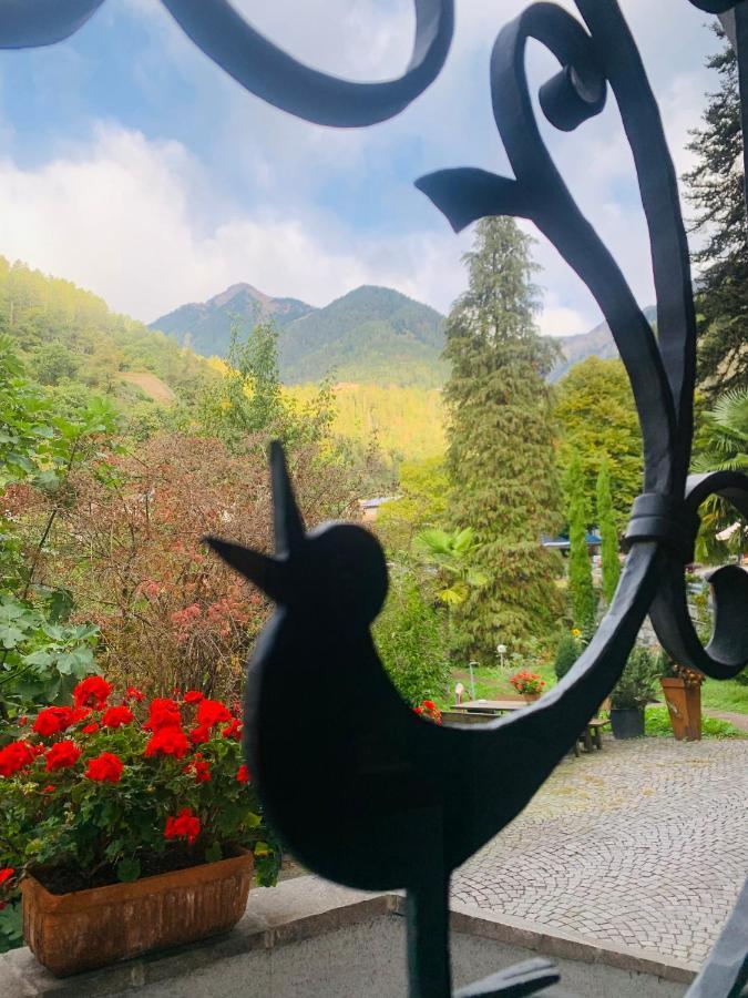 Tannerhof Bed & Breakfast Caines Buitenkant foto