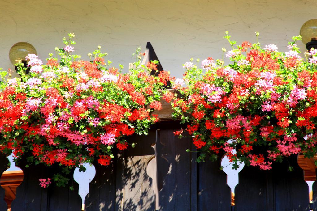 Tannerhof Bed & Breakfast Caines Buitenkant foto