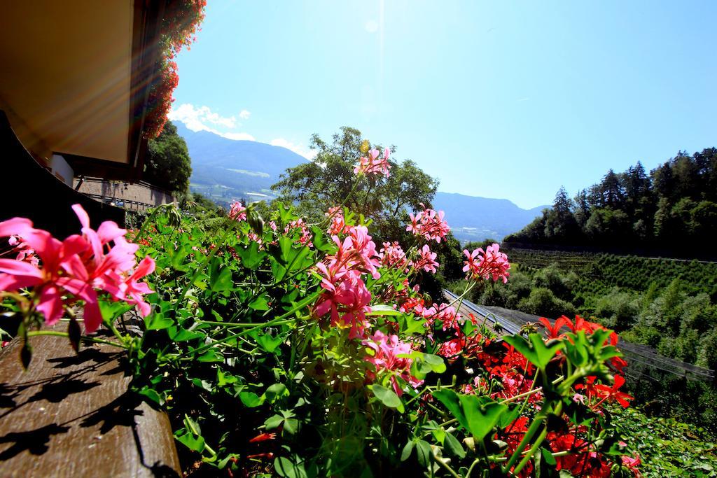 Tannerhof Bed & Breakfast Caines Kamer foto