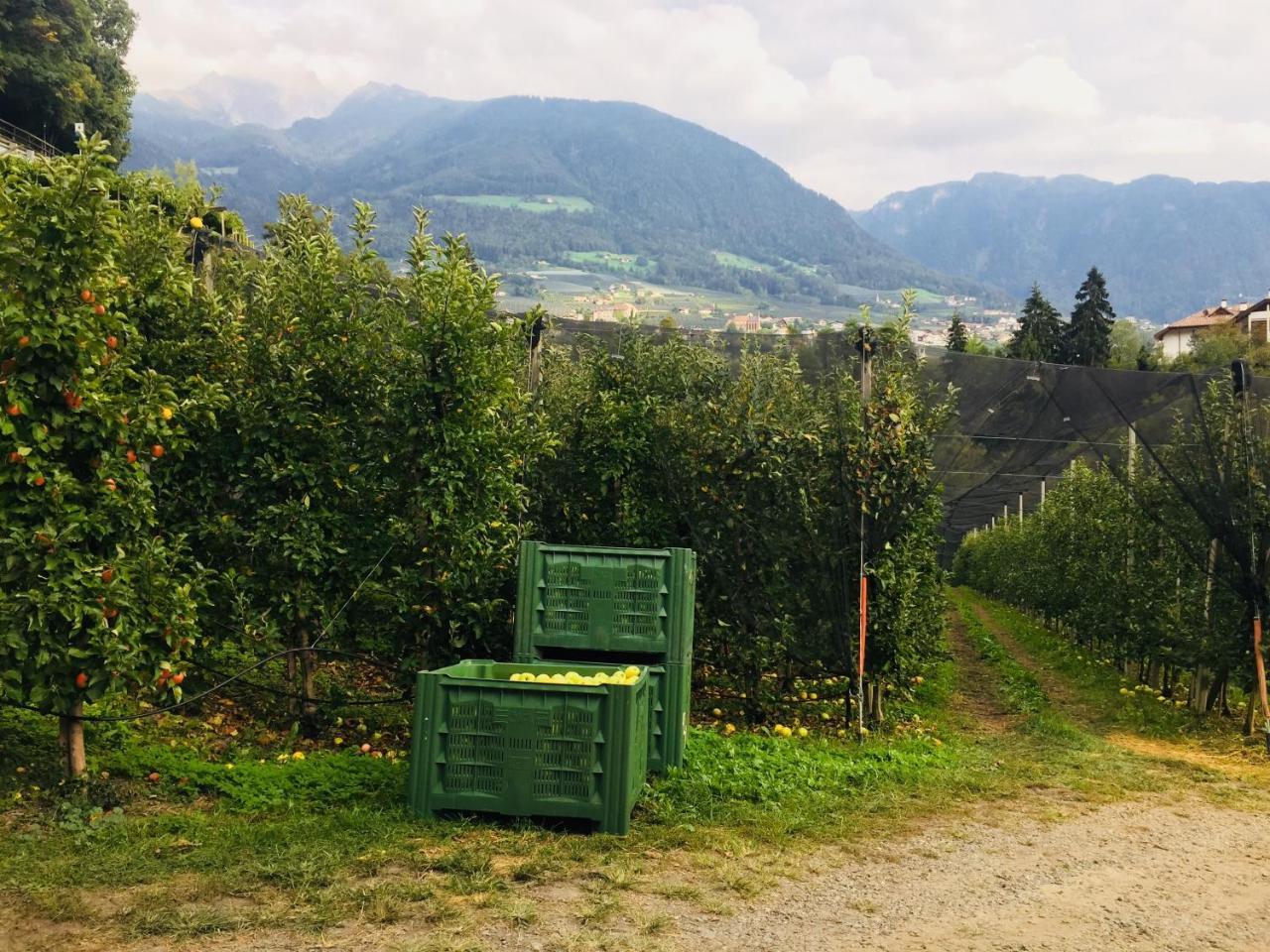 Tannerhof Bed & Breakfast Caines Buitenkant foto